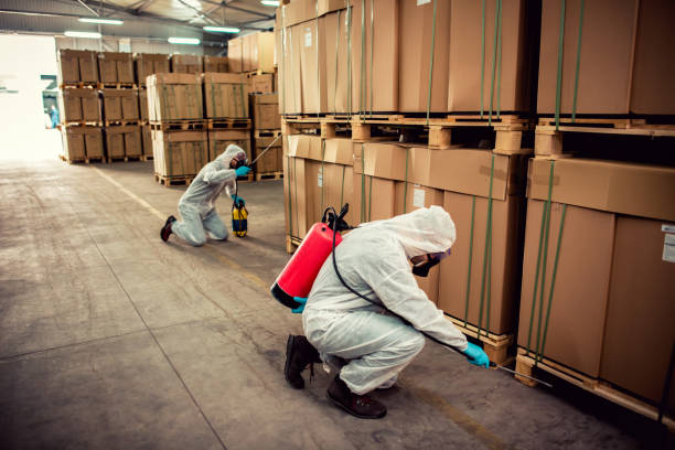 Best Pest Inspection Near Me  in Alton, IA