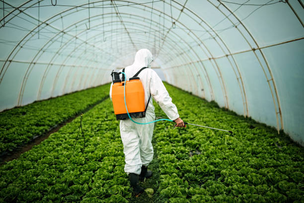 Best Best Pest Control Companies  in Alton, IA