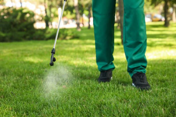 Insect Control in Alton, IA