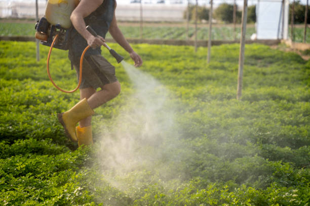 Best Pest Control Treatment  in Alton, IA