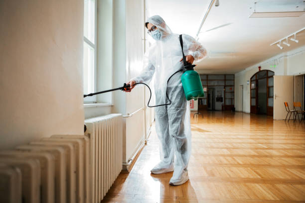 Best Wasp Removal Services  in Alton, IA