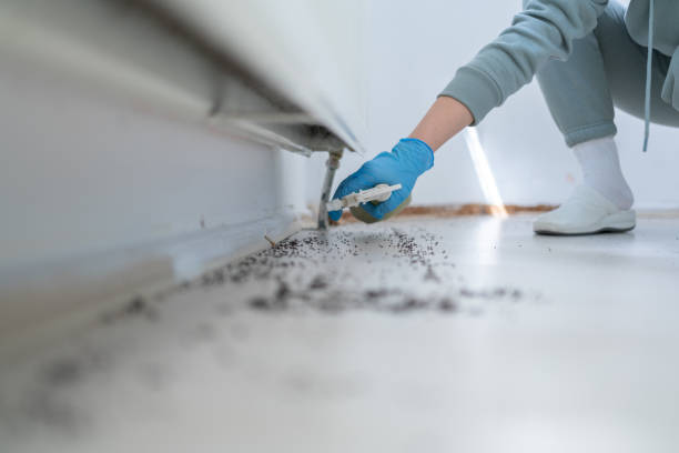 Alton, IA Pest Control Company